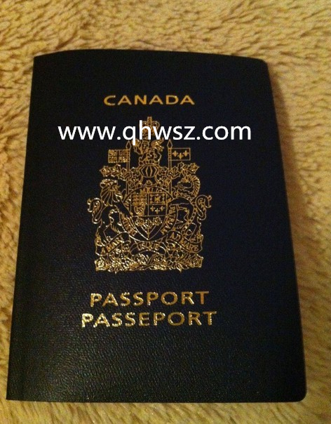 成都加拿大生子客户c姐加籍宝宝护照